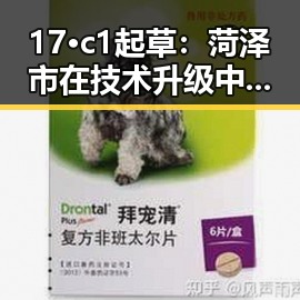 17·c1起草：菏泽市在技术升级中的关键步骤