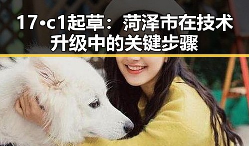 17·c1起草:菏泽市在技术升级中的关键步骤