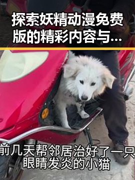 探索妖精动漫免费版的精彩内容与观看途径