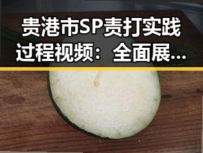 贵港市SP责打实践过程视频:全面展示操作细节