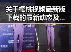 关于樱桃视频最新版下载的最新动态及其应用探讨