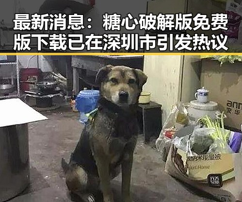最新消息:糖心破解版免费版下载已在深圳市引发热议