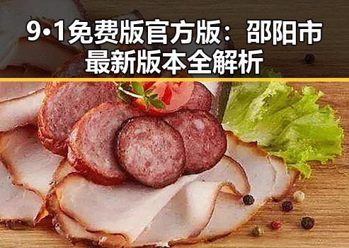9·1免费版官方版:邵阳市最新版本全解析