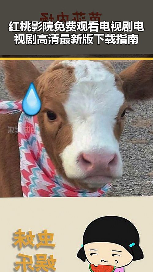 红桃影院免费观看电视剧电视剧高清最新版下载指南